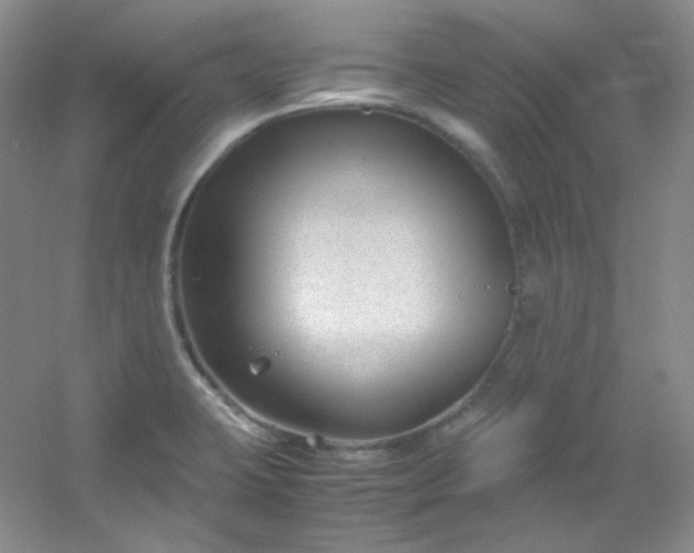X0000054471423200508121951
