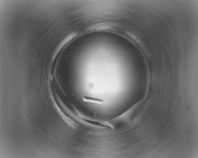 X0000054471426200508121952