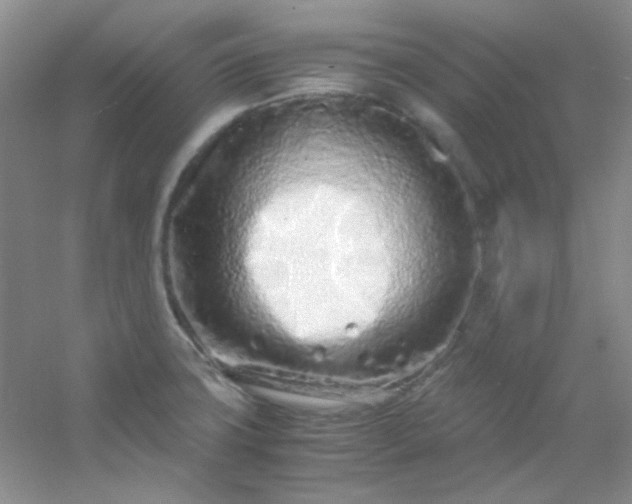 X0000054471427200508121952