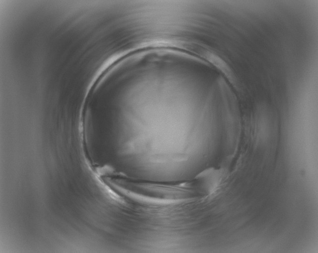 X0000054471428200508121952