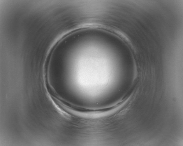 X0000054471430200508121952