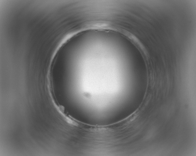 X0000054471432200508121952