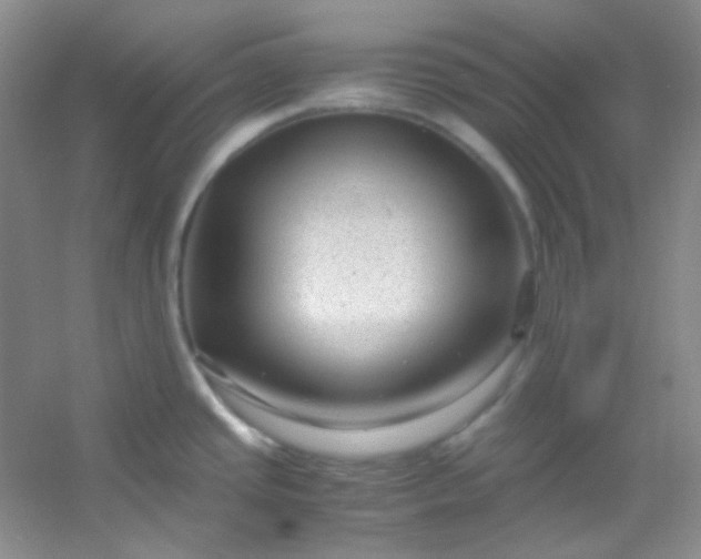 X0000054471437200508121952