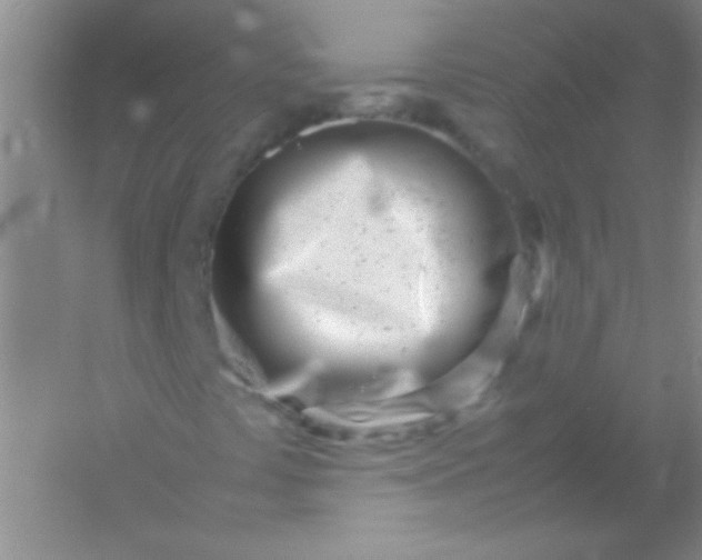 X0000054471441200508121951