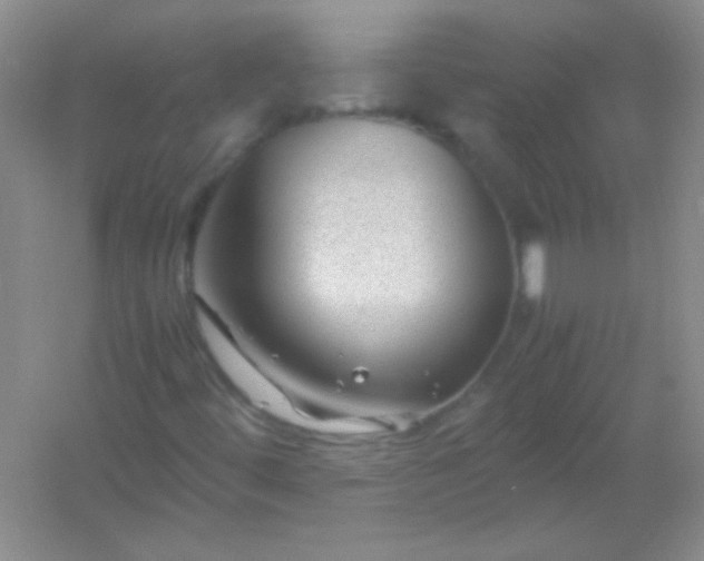 X0000054471444200508121951