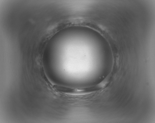 X0000054471445200508121951