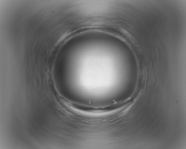 X0000054471449200508121951