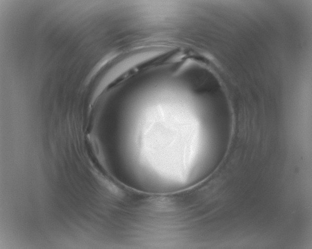 X0000054471450200508121951