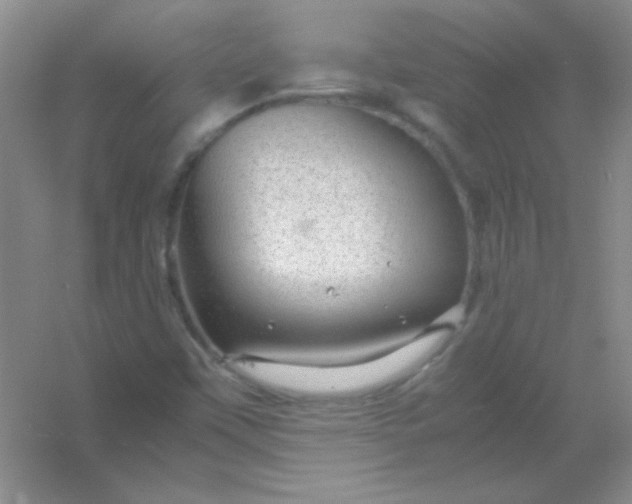 X0000054471451200508121951