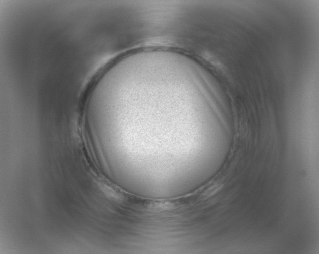 X0000054471454200508121951