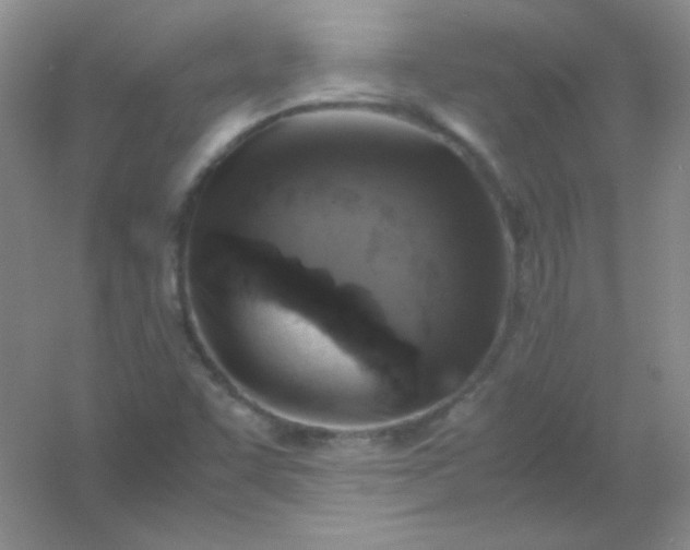 X0000054471455200508121951