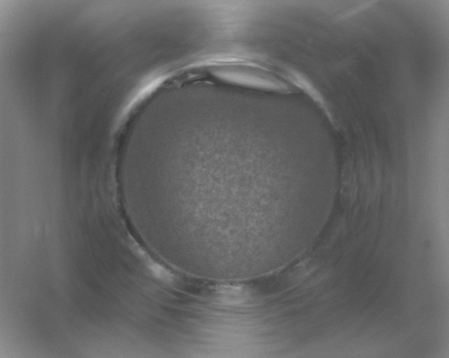 X0000054471456200508121951