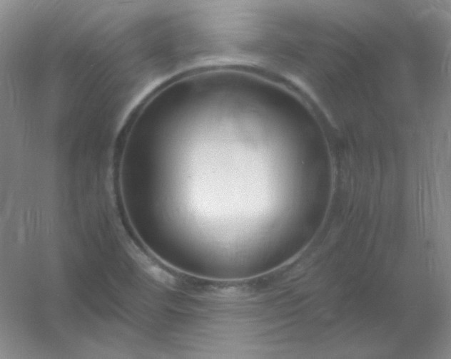 X0000054471460200508121951