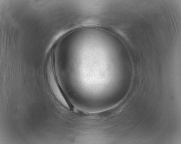 X0000054471461200508121951