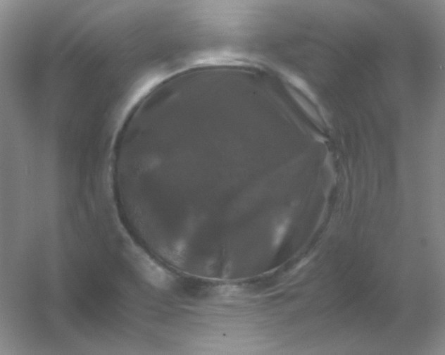 X0000054471463200508121951
