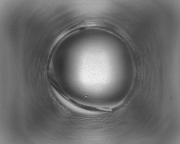 X0000054471465200508121951