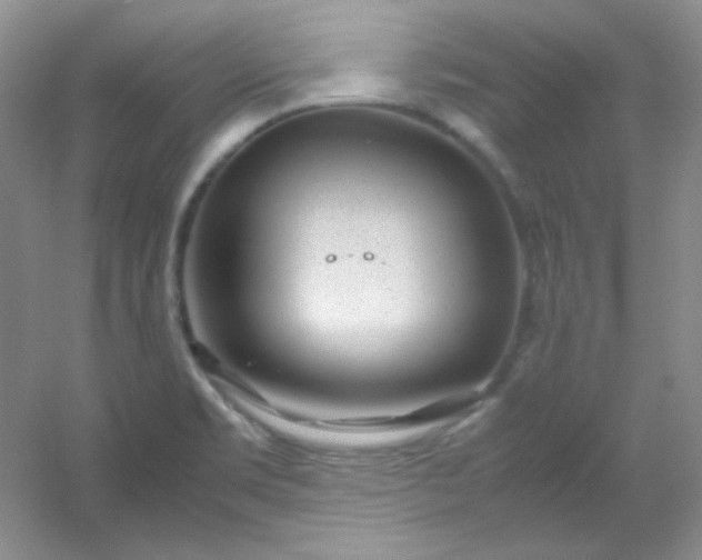 X0000054471469200508121950