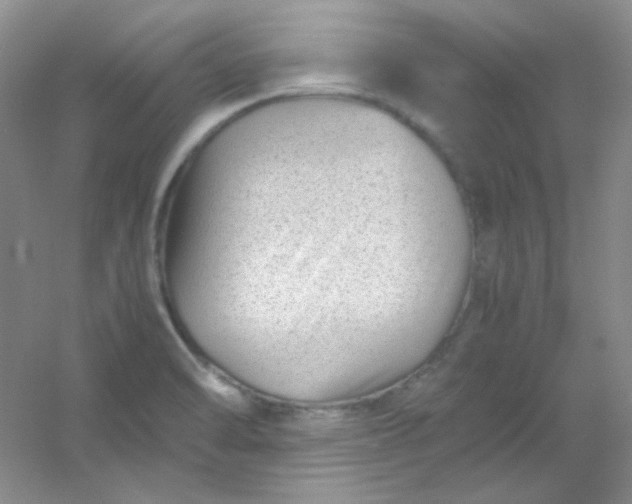 X0000054471470200508121950