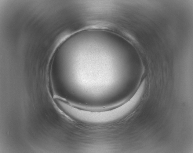 X0000054471471200508121950