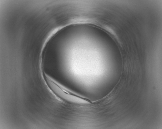 X0000054471472200508121950