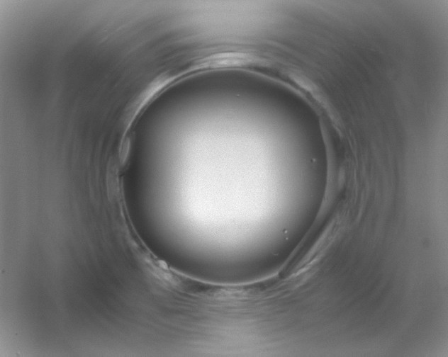 X0000054471473200508121950