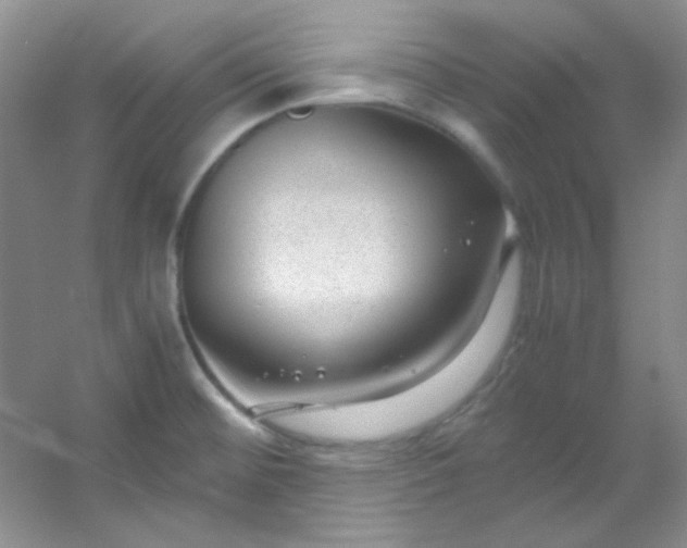 X0000054471476200508121950
