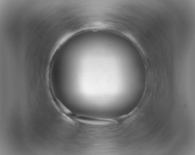 X0000054471477200508121950