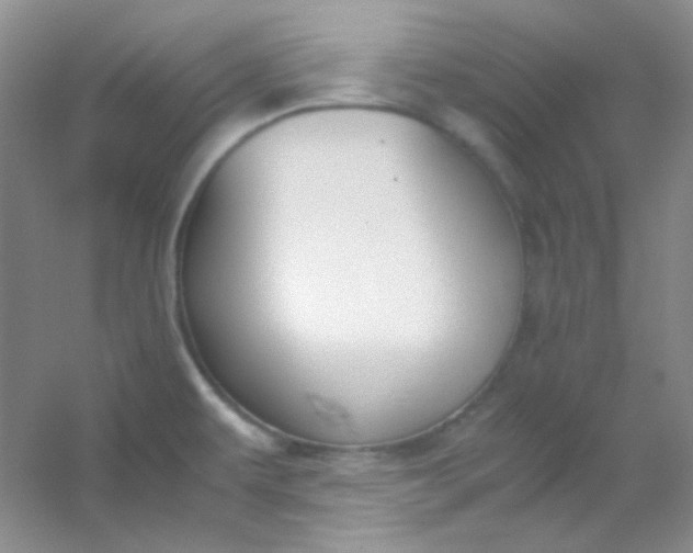 X0000054471479200508121950