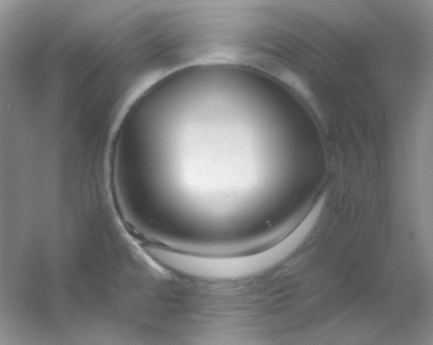 X0000054471480200508121950