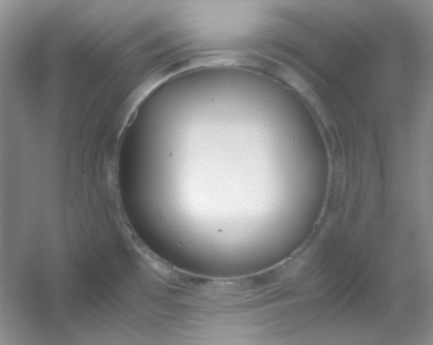X0000054471481200508121950