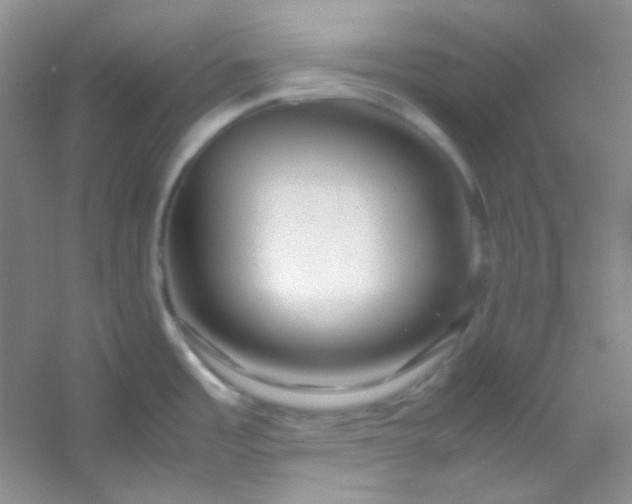 X0000054471485200508121950