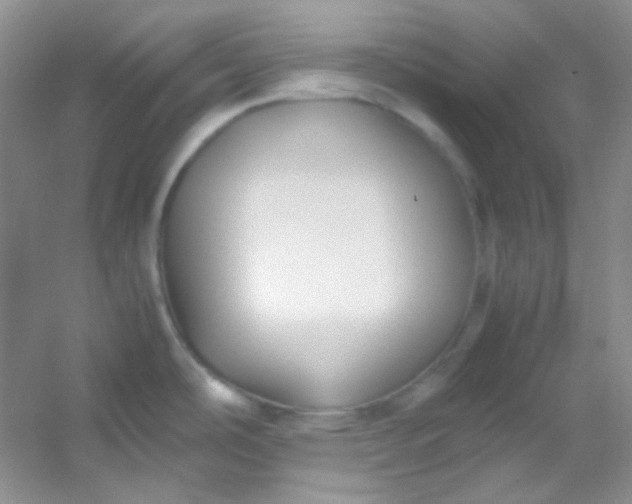 X0000054471486200508121950