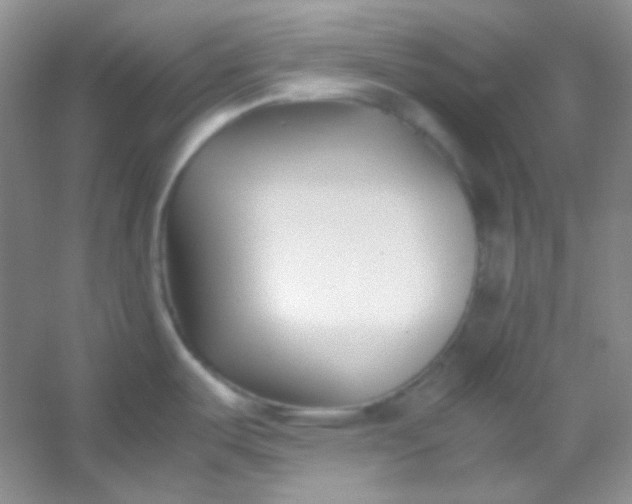 X0000054471487200508121950