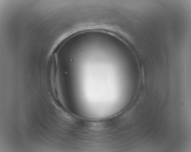 X0000054471501200508121950