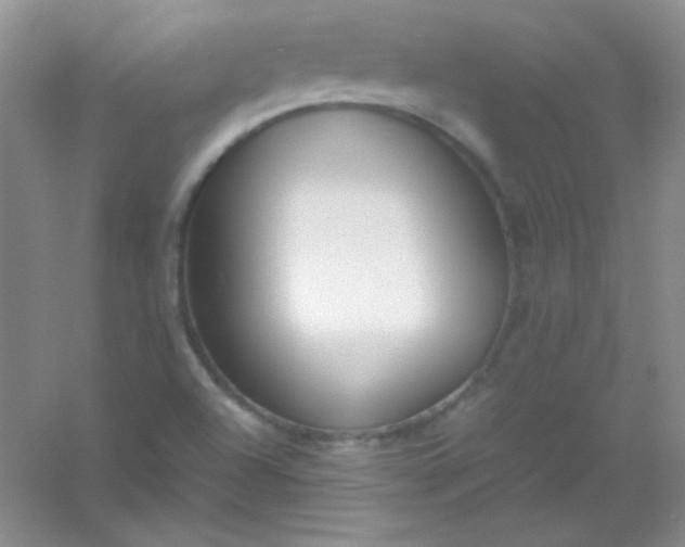 X0000054471504200508121950