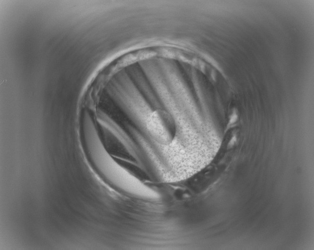 X0000054471508200508121950