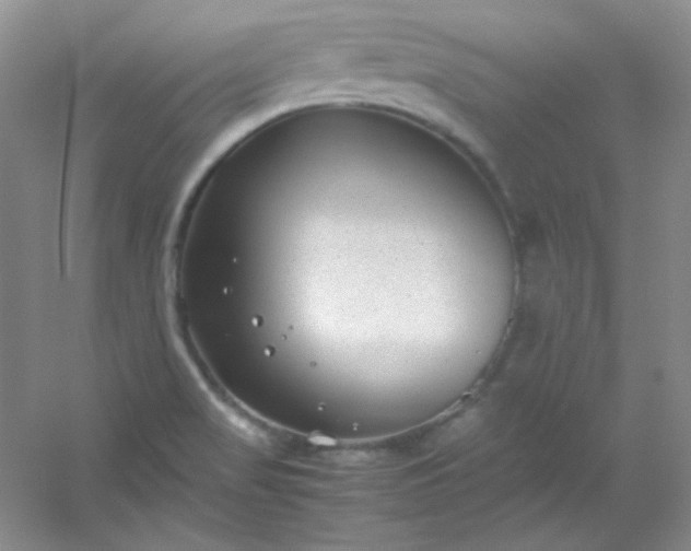 X0000054471517200508121950