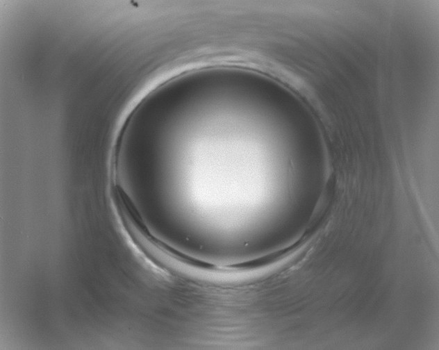 X0000054471520200508121950