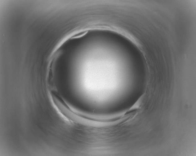 X0000054471536200508121950