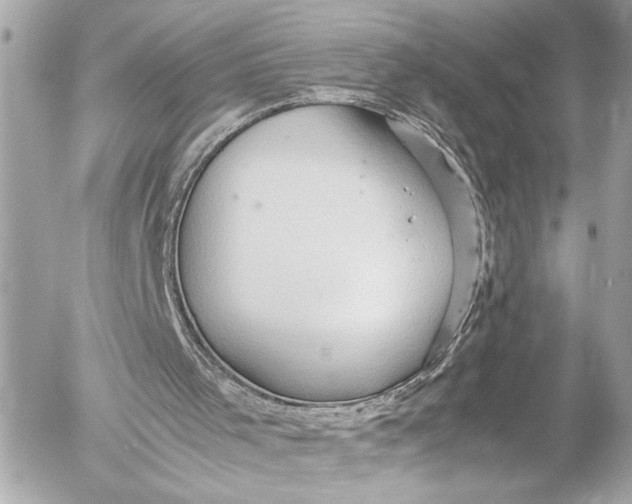 X0000054470001200508191740