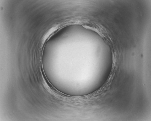 X0000054470003200508191740