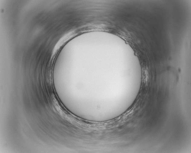 X0000054470004200508191740