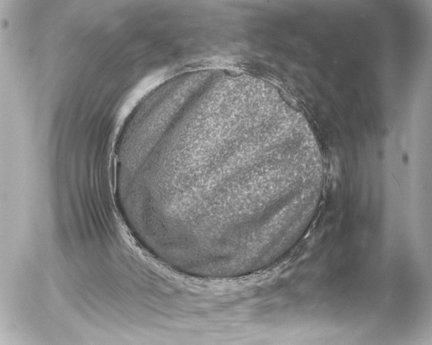 X0000054470006200508191740