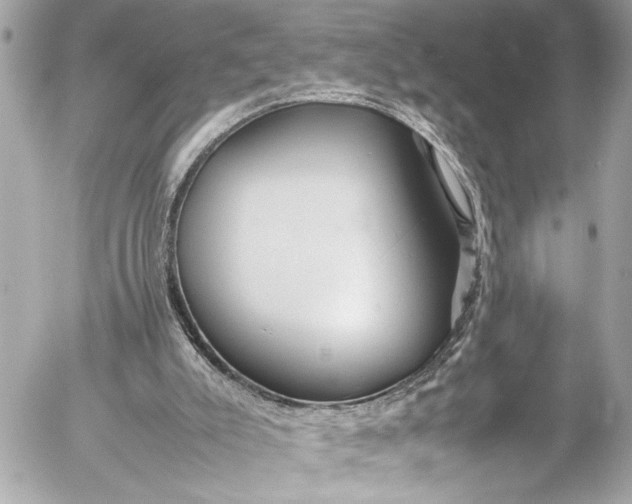 X0000054470007200508191739