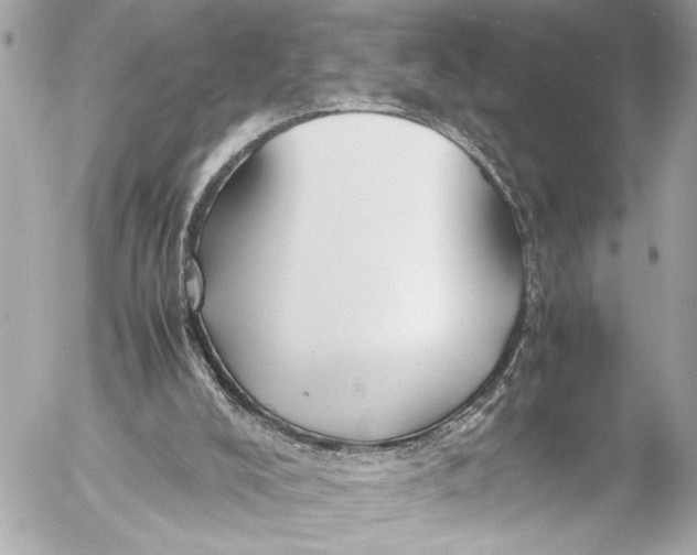 X0000054470008200508191739