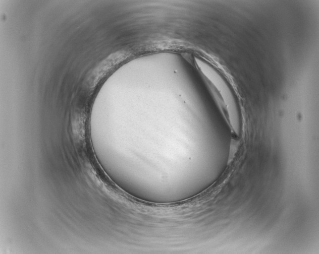 X0000054470010200508191739