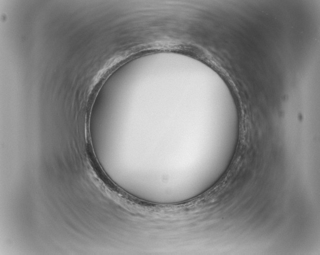 X0000054470011200508191739