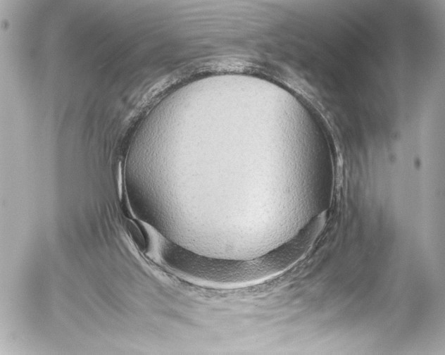 X0000054470013200508191739