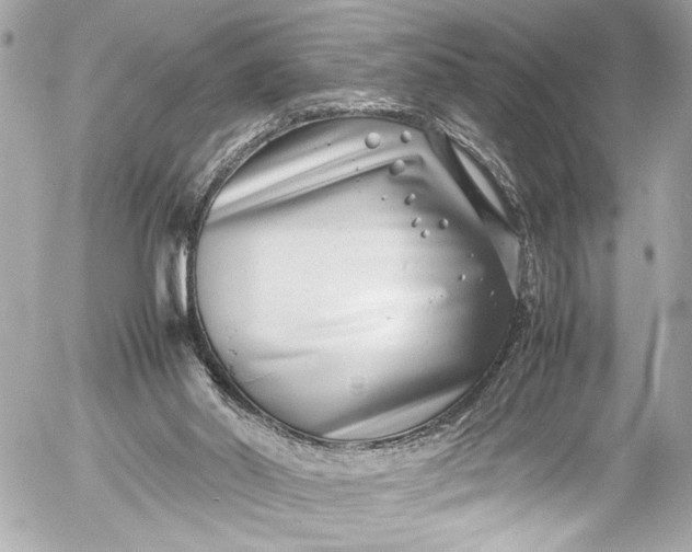 X0000054470014200508191739