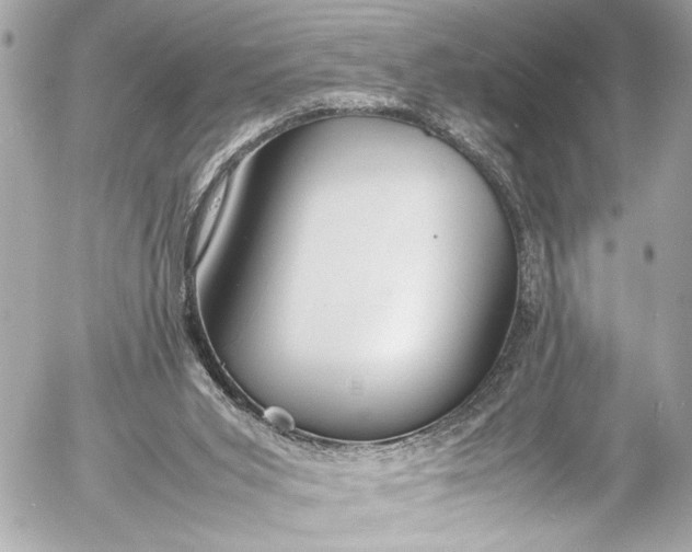 X0000054470015200508191739